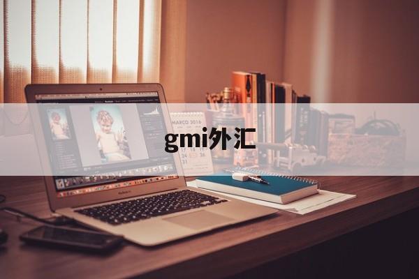 gmi外汇(gmi外汇资金安全吗)