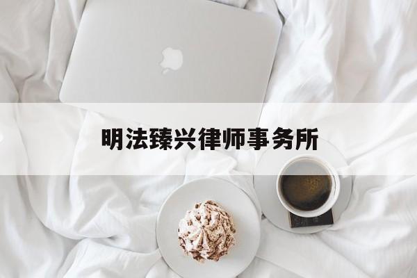 明法臻兴律师事务所的简单介绍